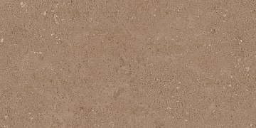 NP03 30,6x60,9x8 Непол. (Керамический гранит)