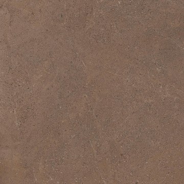 GO02 60x60x9 Непол.Рект. (Керамический гранит)