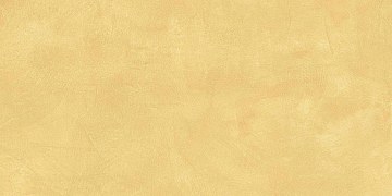 SR04 60x120х10 Непол.Рект. (Керамический гранит)