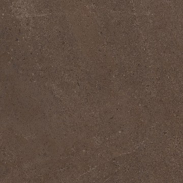 GO03 60x60 Непол.Рект. (Керамический гранит)