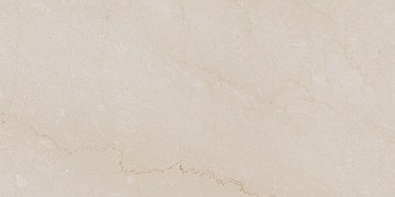 AEM00 60x120x9 Непол.Рект. (Керамический гранит)