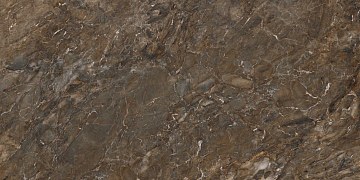 BR04 60x120x10 Полир. (Керамический гранит)