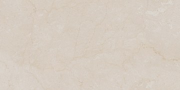 AEM00 60x120x9 Непол.Рект. (Керамический гранит)