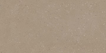 RO01 60x120x9 Непол.Рект. (Керамический гранит)