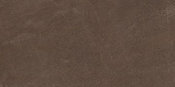 GO03 60x120x10 Непол.Рект. (Керамический гранит)