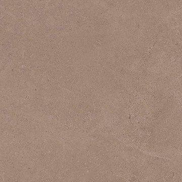 GO01 60x60 Непол.Рект. (Керамический гранит)