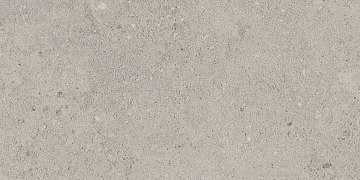NP01 30,6x60,9x8 Непол. (Керамический гранит)