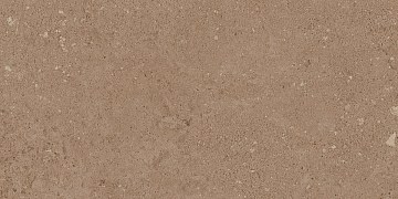 NP03 30,6x60,9x8 Непол. (Керамический гранит)
