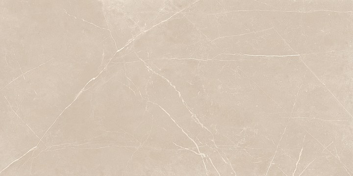 Плитка из керамогранита nl01 60x120x10 непол.рект. (керамический гранит)