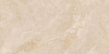 Плитка из керамогранита exm301 60x120x9 непол.рект. (керамический гранит)