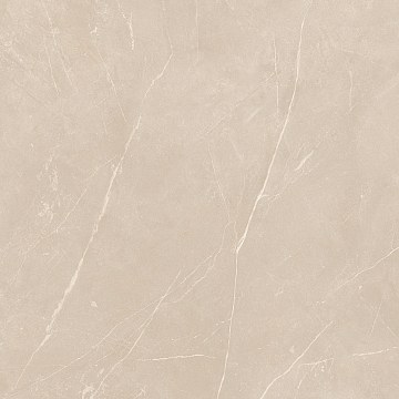 NL01 60x60x9 Полир. (Керамический гранит)
