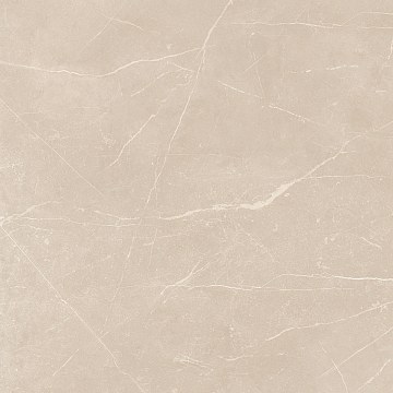 NL01 60x60x9 Полир. (Керамический гранит)
