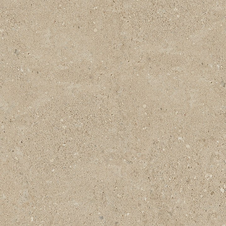 NP 02
