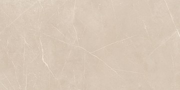 NL01 60x120x10 Непол.Рект. (Керамический гранит)