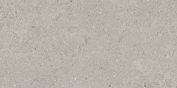 NP01 30,6x60,9x8 Непол. (Керамический гранит)