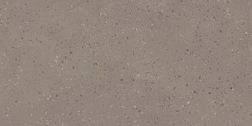 RO02 60x120x9 Непол.Рект. (Керамический гранит)