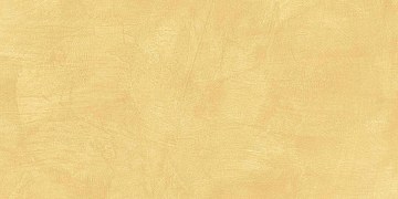 SR04 60x120х10 Непол.Рект. (Керамический гранит)