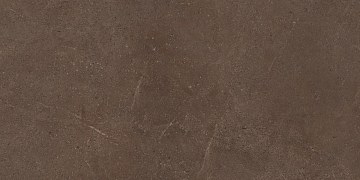 GO03 60x120x10 Непол.Рект. (Керамический гранит)