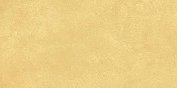 SR04 60x120х10 Непол.Рект. (Керамический гранит)