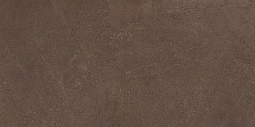 GO03 60x120x10 Непол.Рект. (Керамический гранит)