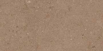 NP03 30,6x60,9x8 Непол. (Керамический гранит)