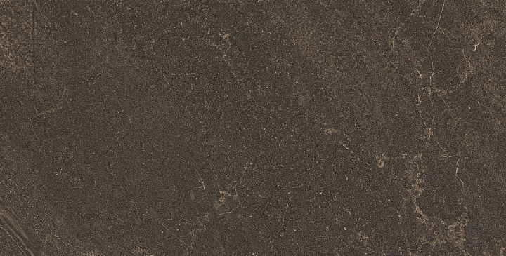 Плитка из керамогранита gb04 60x120x9 непол.рект. (керамический гранит)