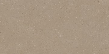 RO01 80x160x10 Непол.Рект. (Керамический гранит)