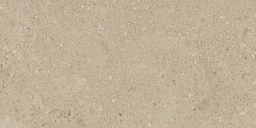 NP02 30,6x60,9x8 Непол. (Керамический гранит)