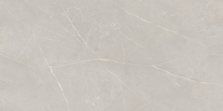 Плитка из керамогранита nl02 60x120x10 непол.рект. (керамический гранит)