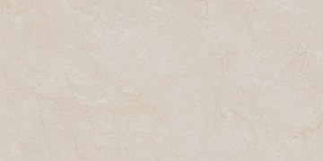 AEM00 60x120x9 Непол.Рект. (Керамический гранит)