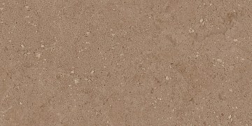 NP03 30,6x60,9x8 Непол. (Керамический гранит)