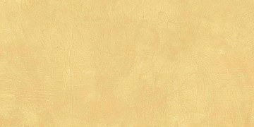 SR04 60x120х10 Непол.Рект. (Керамический гранит)