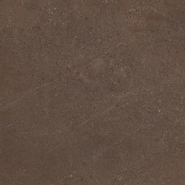 GO03 60x60 Непол.Рект. (Керамический гранит)