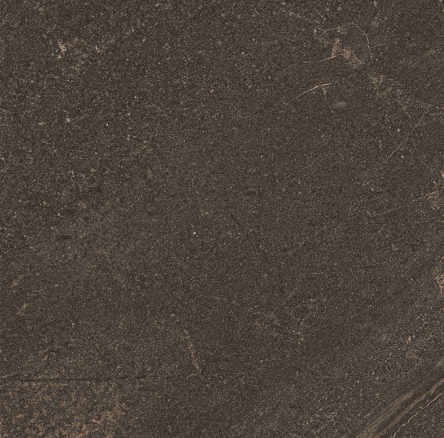 GB04 60x60x10 Непол.Рект. (Керамический гранит)