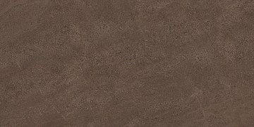 GO03 60x120x10 Непол.Рект. (Керамический гранит)