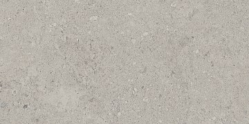 NP01 30,6x60,9x8 Непол. (Керамический гранит)