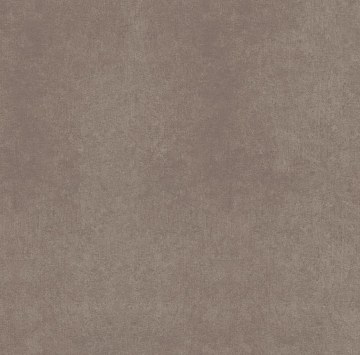 CA04 60x60x10 Непол.Рект. (Керамический гранит)