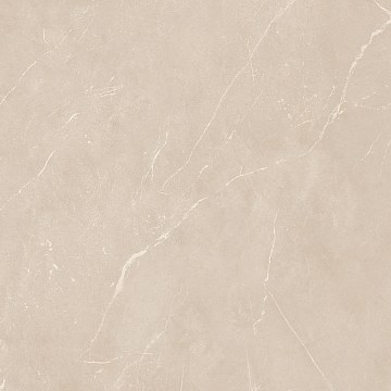 NL01 60x60x9 Полир. (Керамический гранит)