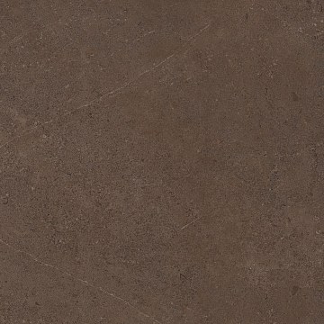 GO03 60x60 Непол.Рект. (Керамический гранит)
