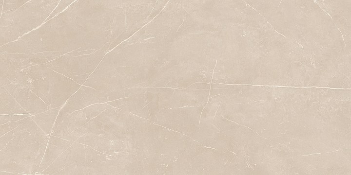 Плитка из керамогранита nl01 60x120x10 непол.рект. (керамический гранит)