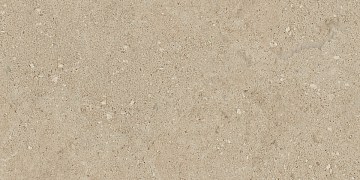 NP02 30,6x60,9x8 Непол. (Керамический гранит)