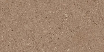 NP03 30,6x60,9x8 Непол. (Керамический гранит)