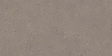 RO02 60x120x9 Непол.Рект. (Керамический гранит)