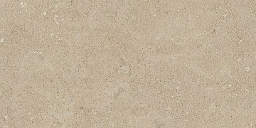 NP02 30,6x60,9x8 Непол. (Керамический гранит)