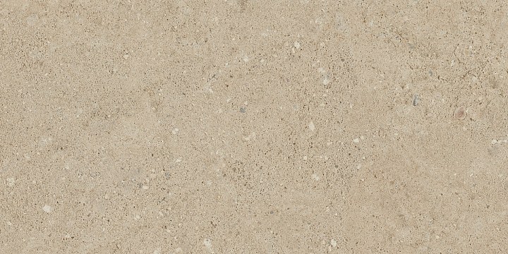 Плитка из керамогранита np02 30,6x60,9x8 непол. (керамический гранит)