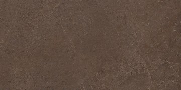 GO03 60x120x10 Непол.Рект. (Керамический гранит)