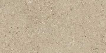 NP02 30,6x60,9x8 Непол. (Керамический гранит)