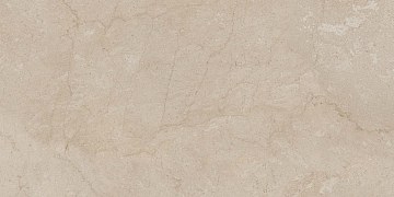 AEM01 60x120x9 Непол.Рект. (Керамический гранит)