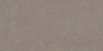 RO02 60x120x9 Непол.Рект. (Керамический гранит)