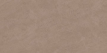 GO01 60x120x10 Непол.Рект. (Керамический гранит)